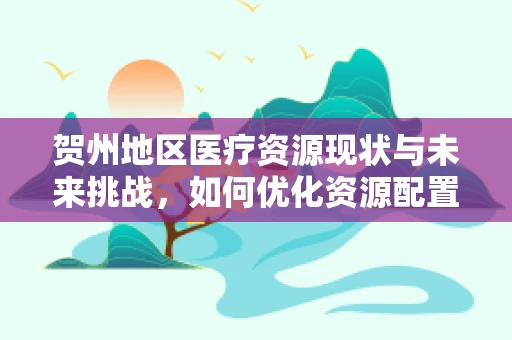 贺州地区医疗资源现状与未来挑战，如何优化资源配置？