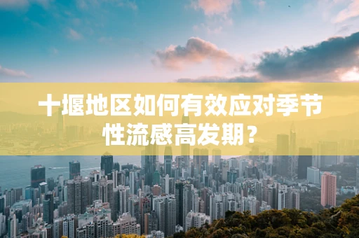 十堰地区如何有效应对季节性流感高发期？