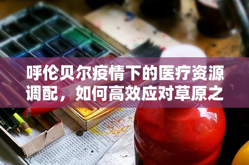 呼伦贝尔疫情下的医疗资源调配，如何高效应对草原之城的健康挑战？