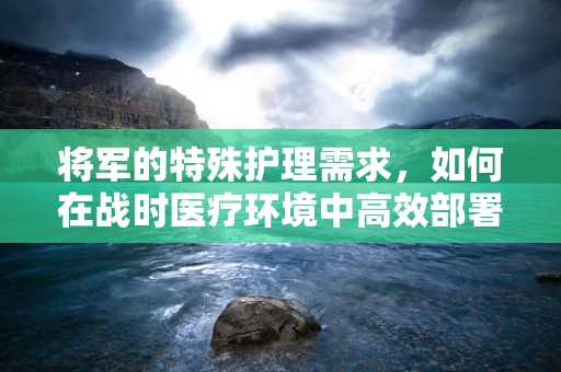 将军的特殊护理需求，如何在战时医疗环境中高效部署？