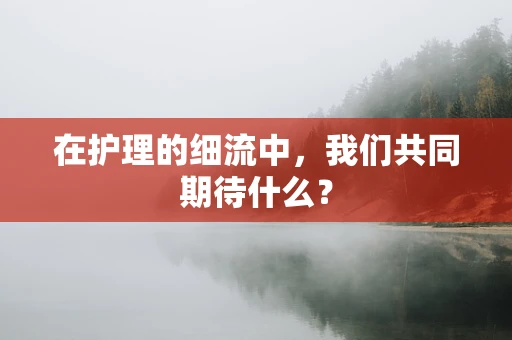 在护理的细流中，我们共同期待什么？