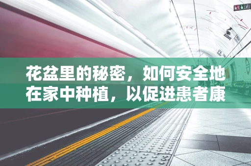 花盆里的秘密，如何安全地在家中种植，以促进患者康复？