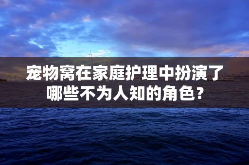 宠物窝在家庭护理中扮演了哪些不为人知的角色？