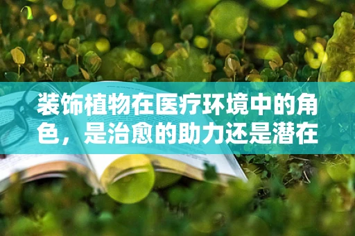 装饰植物在医疗环境中的角色，是治愈的助力还是潜在的威胁？