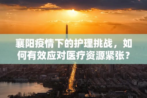 襄阳疫情下的护理挑战，如何有效应对医疗资源紧张？