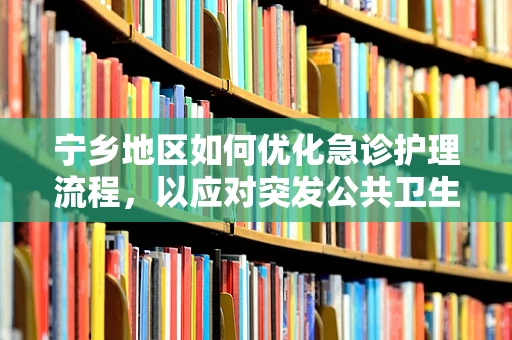 宁乡地区如何优化急诊护理流程，以应对突发公共卫生事件？