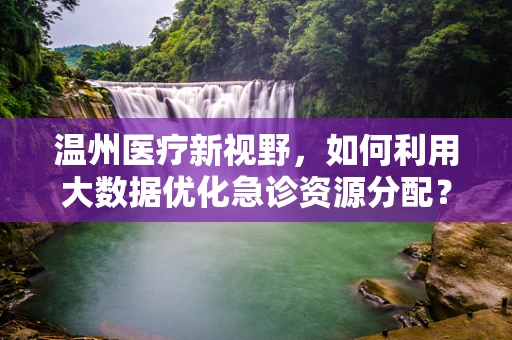 温州医疗新视野，如何利用大数据优化急诊资源分配？