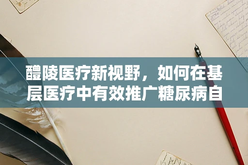 醴陵医疗新视野，如何在基层医疗中有效推广糖尿病自我管理教育？